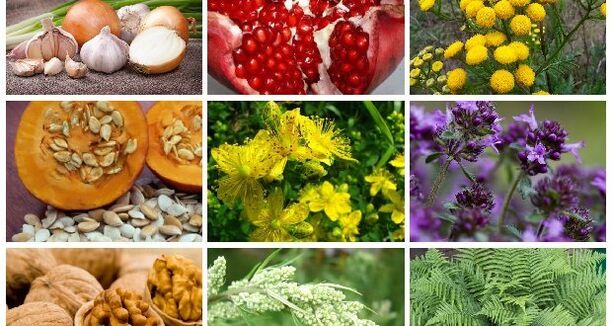 Metodi di trattamento popolare per i vermi
