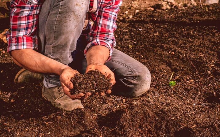 Parasit infezione attraverso il terreno