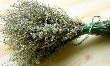 Wormwood come mezzo per combattere i parassiti