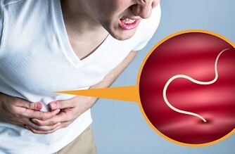 Tipi di parassiti nel corpo umano