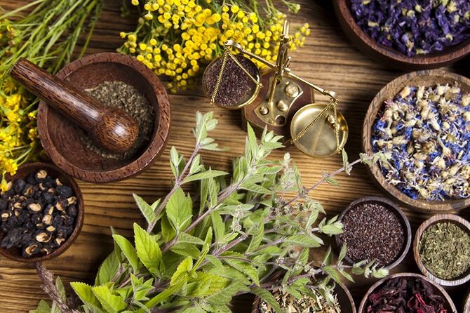Erbe per rimuovere i parassiti dal corpo