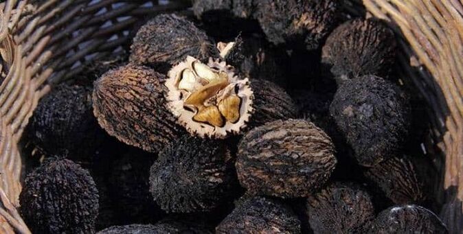 Noce nera per trattare i parassiti nel corpo