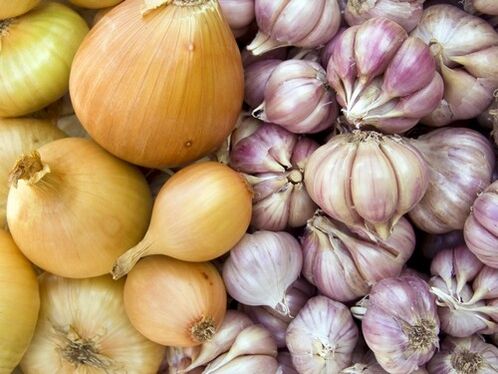Aglio e cipolle – rimedi casalinghi per il trattamento delle infestazioni da elminti